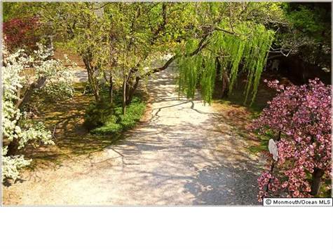 Photo_4